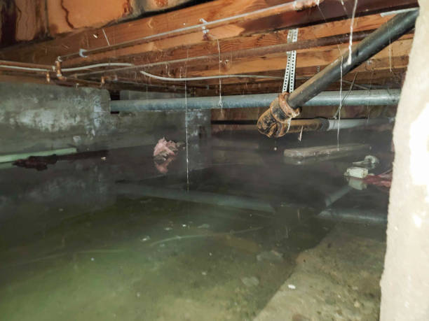 Best Ceiling water damage repair  in Troy, NY