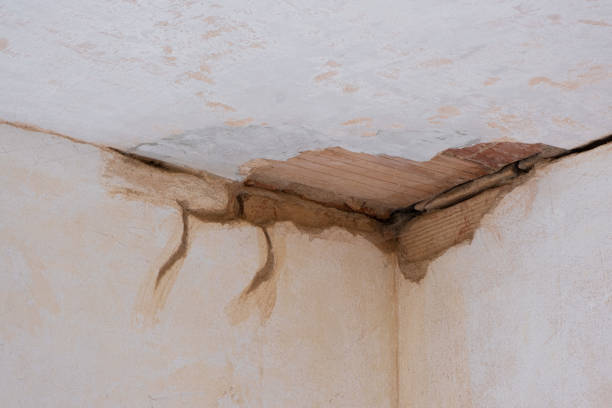 Best Water damage cleanup near me  in Troy, NY