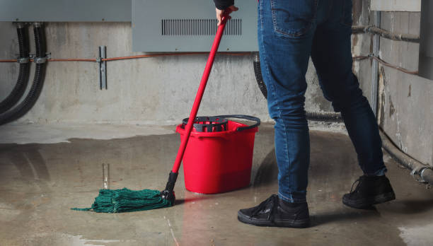 Best Water damage restoration near me  in Troy, NY