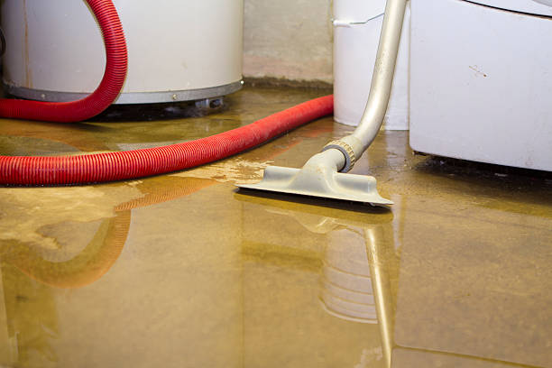 Best Carpet water damage restoration  in Troy, NY