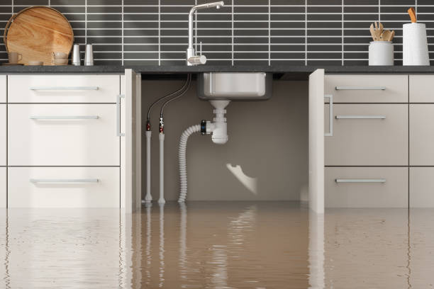 Best Basement water damage restoration  in Troy, NY